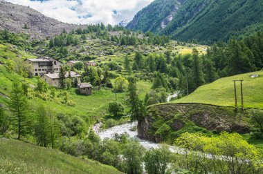 Fransa 'da Alpes-de-Haute-Provence' da maljasset