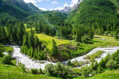 Fransa 'da Alpes-de-Haute-Provence' da maljasset