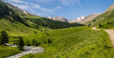 Fransa 'daki Alpes-de-Haute-Provence' deki tarla kuşlarının pası içinde val fourane