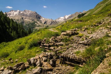 Fransa 'daki Alpes-de-Haute-Provence' deki tarla kuşlarının pası içinde val fourane