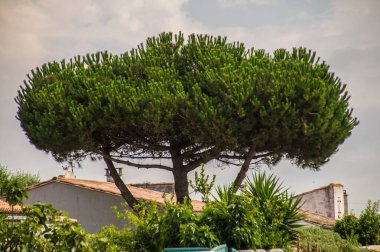 Fransa 'da Charente Denizcilik' te.