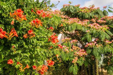 Fransa 'da Charente Denizcilik' te.