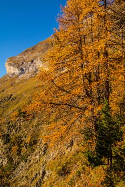 İsviçre 'deki Valais Dağı