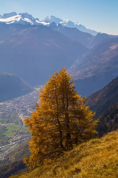 İsviçre 'deki Valais Dağı