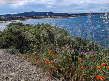 Kaptan Negre 6-4 'te Fransa' da Vars 'da