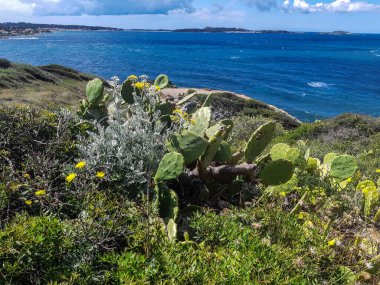 Kaptan Negre 6-4 'te Fransa' da Vars 'da