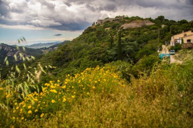 Fransa 'da bile var.