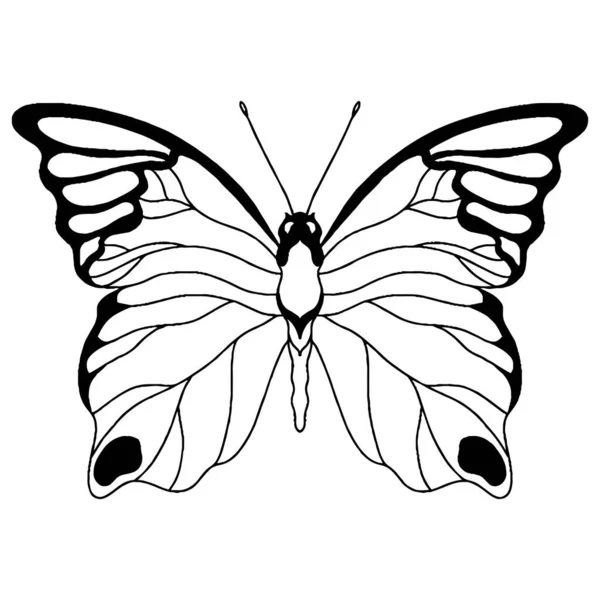 Farfalla Linea Nera Biglietto Auguri Libro Colorare Farfalla Vettore Isolata — Vettoriale Stock