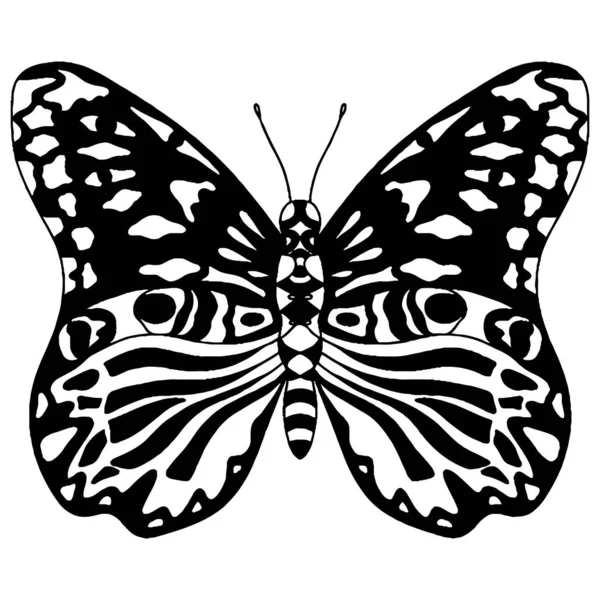 グリーティングカード ぬり絵のための黒い線蝶 独立したベクトル蝶 — ストックベクタ