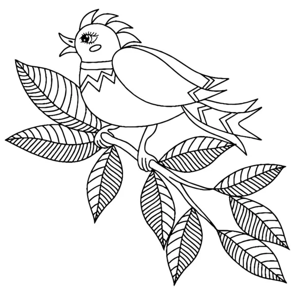 Ptak Dla Dorosłych Lub Dziecka Kolorowanki Ptak Wektor Izolowany — Wektor stockowy