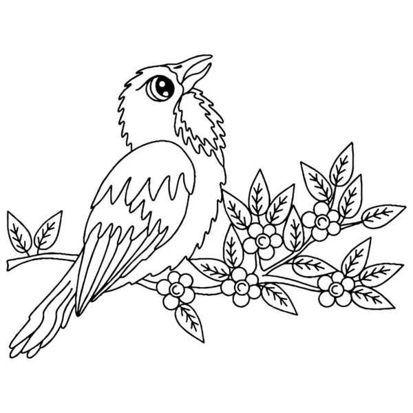 Птах Дорослої Або Дитячої Розмальовки Векторний Птах Ізольований — стоковий вектор