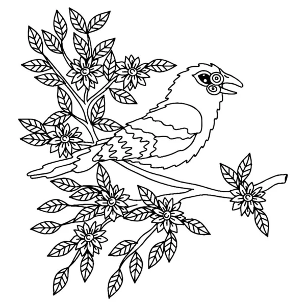 Pájaro Para Adultos Niños Para Colorear Libro Pájaro Vector Aislado — Vector de stock