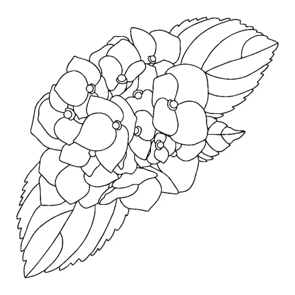 Vector Flower Coloring Book Page Isolated Flower — Stok Vektör