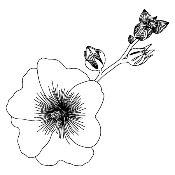 Vektorblume Für Malbuch Oder Seite Isolierte Blume — Stockvektor