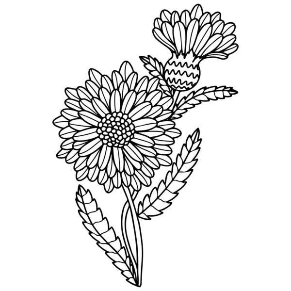 Vector Hermosa Flor Para Colorear Libro Página Flor Aislada — Archivo Imágenes Vectoriales