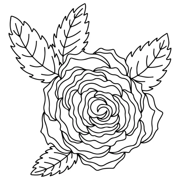 Boyama Kitabı Sayfa Için Vektör Çiçek Ayrı Bir Çiçek — Stok Vektör