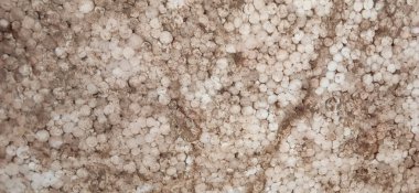 Toprak ve makro manzarayla karıştırılmış beyaz polistiren granüllerin yakın çekim dokusu. İnşaat, yalıtım, tarım veya geri dönüşüm kavramları için kullanışlı bir arkaplan.