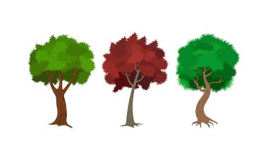 Different types of trees isolated on white background