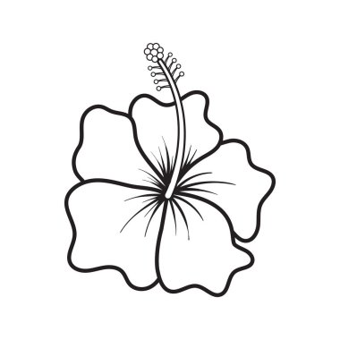 Zarif Tropikal Hibiscus Çiçek Çizgisi Sanatı