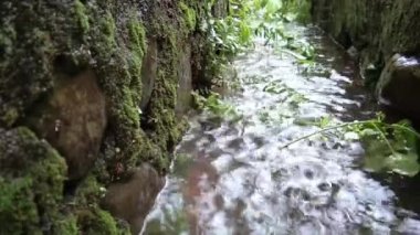 Damlayan yağmur damlaları dramatik ya da sinematik videolar için mükemmel.