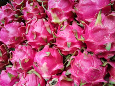 Ejderha meyvesi (İngilizce: Pitaya), Hylocereus ve Selenicereus familyasından çeşitli kaktüslerin meyveleridir. Bu meyve Meksika, Orta Amerika ve Güney Amerika 'dan geliyor.