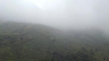 Yeşil manzara, dağın tepesinden sisli bir manzara.