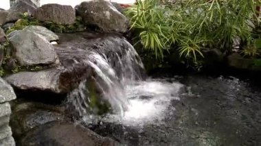pond in the garden with mini waterfall