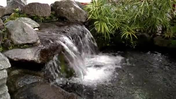 Pond Garden Mini Waterfall — 비디오