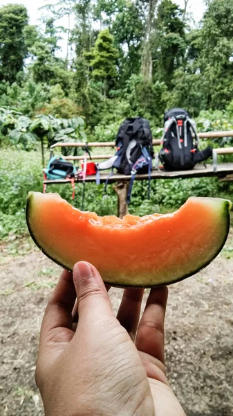 Meloen Plak Hand Met Berg Bos Zak Achtergrond — Stockfoto