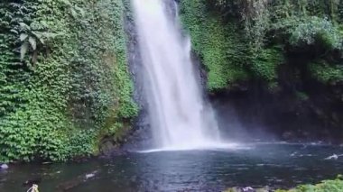 Doğal şelale, berrak su ve etrafındaki yemyeşil bitkiler.