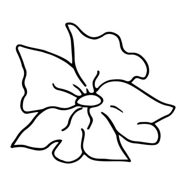 Beyaz arka planda el çizimi çiçek. Bir sıra çiçek çizimi. Ana hatlarıyla botanik öğesi. Vektör illüstrasyonu