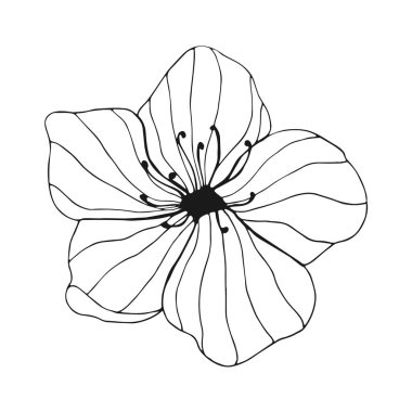 Beyaz arka planda el çizimi çiçek. Bir sıra çiçek çizimi. Ana hatlarıyla botanik öğesi. Vektör illüstrasyonu