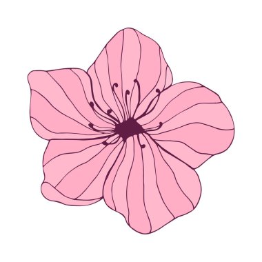 Hand drawn pink flower on white background. Botanical element. Vector illustration