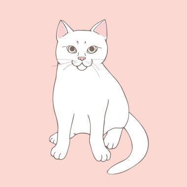 Cute white cat posing on pastel pink background. Sitting animal. Hand drawn cat. Sketch. Vector art