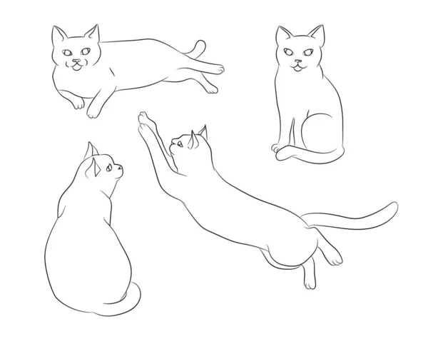 Симпатичный Ручной Рисунок Белый Кот Разных Положениях Набор Кошачьих Позиций — стоковый вектор
