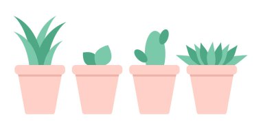 Saksılarda çeşitli ev bitkileri var. Beyaz arka planda izole edilmiş yeşil ev çiçekleri. Düz biçimli vektör illüstrasyonu