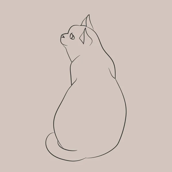 Handgezeichnete Sitzende Katzenkontur Auf Grauem Hintergrund Katze Posiert Einfache Skizze — Stockvektor