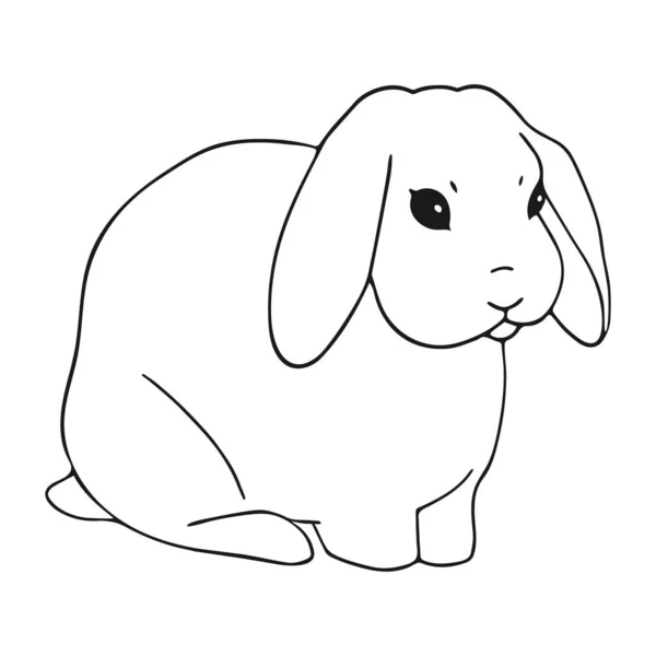 座っているウサギの手描きの芸術 かわいい手描きのウサギ 白に隔離された動物の輪郭 — ストックベクタ