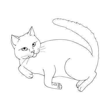 El çizilmiş kedi beyaz arka planda izole edilmiş şekilde poz veriyor. El çizimi kedi. Robot resim. Vektör sanatı