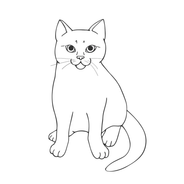 Симпатичный Кошачий Портрет Белом Фоне Контур Сидящего Животного Ручной Кот — стоковый вектор