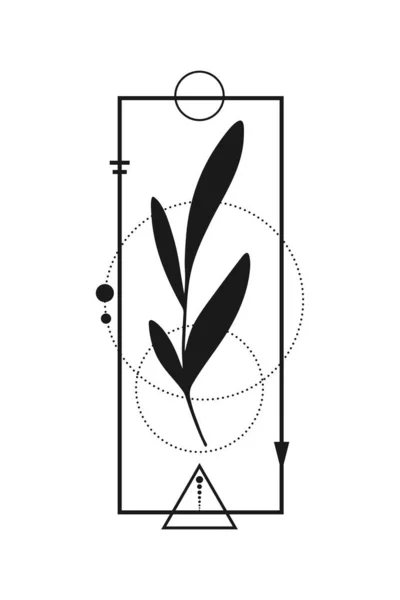 Анотація Ботанічного Татуювання Геометричними Елементами Ізольованими Білому Тлі Векторні Ілюстрації — стоковий вектор