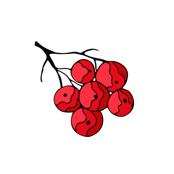 Червоні Ягоди Гілці Ізольовані Білому Тлі Векторні Ілюстрації — стоковий вектор