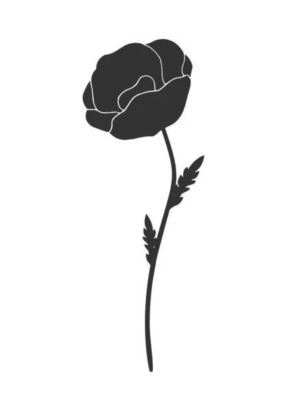 Poppy Květinový Obrys Izolované Bílém Pozadí Vektorová Ilustrace — Stockový vektor