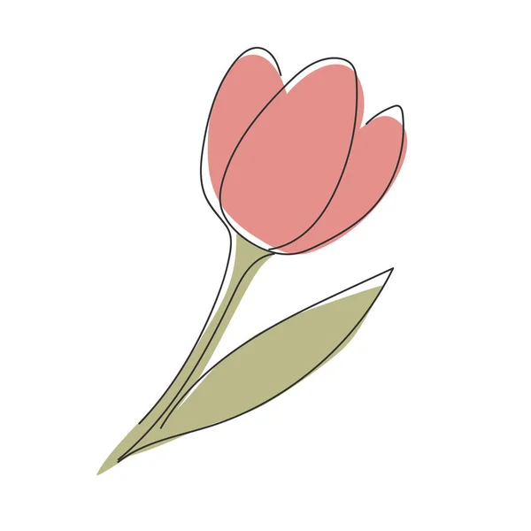 Tulipán Dibujado Mano Aislado Sobre Fondo Blanco Ilustración Vectorial — Vector de stock