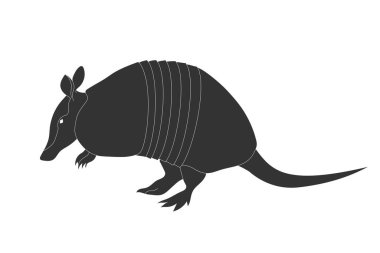 Armadillo silueti beyaz arka planda izole edilmiş. Vektör illüstrasyonu