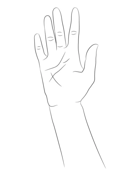 Handgezeichnete Hand Isoliert Auf Weißem Hintergrund Handgezeichnete Weibliche Hand Lineare — Stockvektor