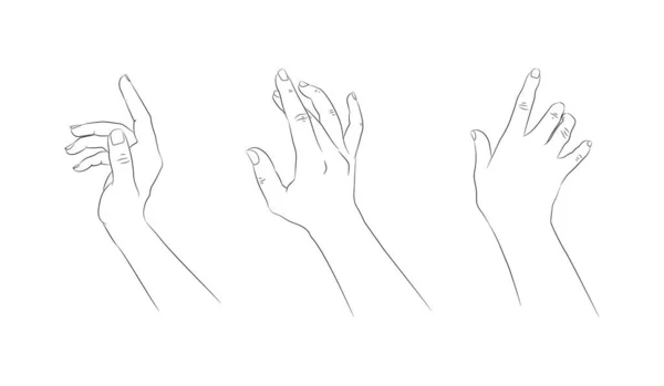 Mãos Desenhadas Mão Isoladas Sobre Fundo Branco Mão Desenhada Mãos —  Vetores de Stock