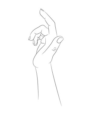 El çizimi. Beyaz arkaplanda boş bir hat var. El çizimi kadın eli çizimi. Beyaz arka planda siyah bir taslak. Vektör illüstrasyonu