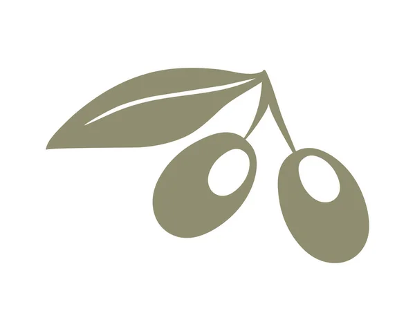 Оливковая Ветвь Изолирована Белом Фоне Векторная Иллюстрация — стоковый вектор