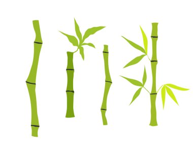 El çizimi bambu sapı ve yapraklar. Bambu ağacı seti. El çizimi botanik çizimi beyaz arka planda izole edilmiş. Vektör sanatı